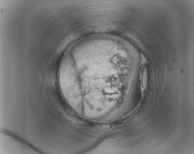 X0000075890687200610151752