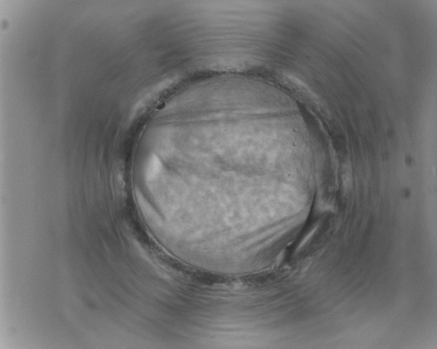 X0000075890688200610151751