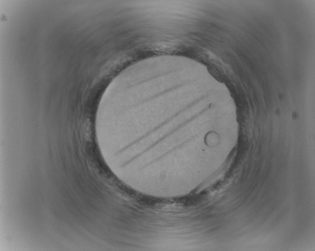 X0000075890689200610151751