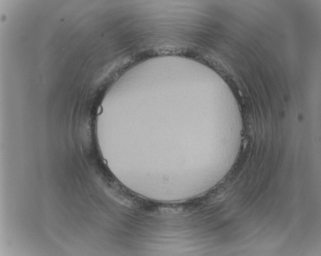 X0000075890690200610151751