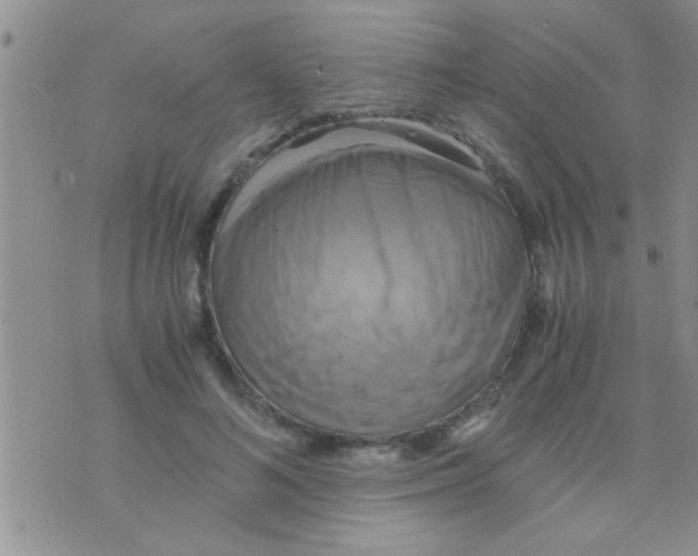 X0000075890692200610151751