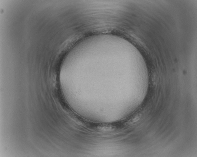 X0000075890693200610151751