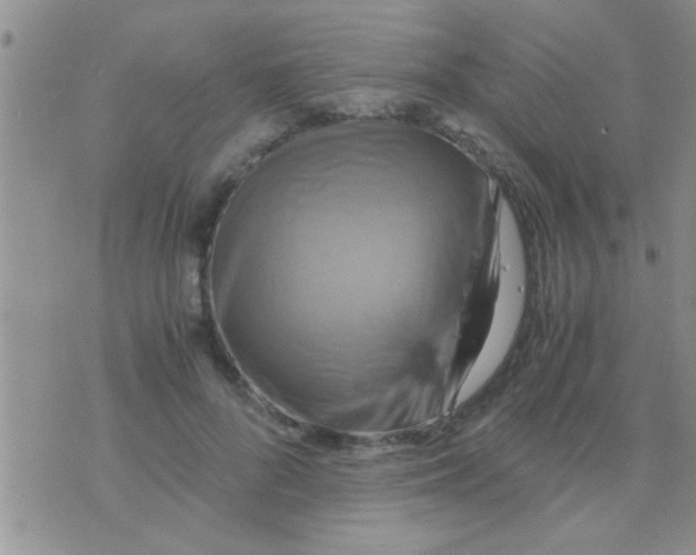 X0000075890696200610151751