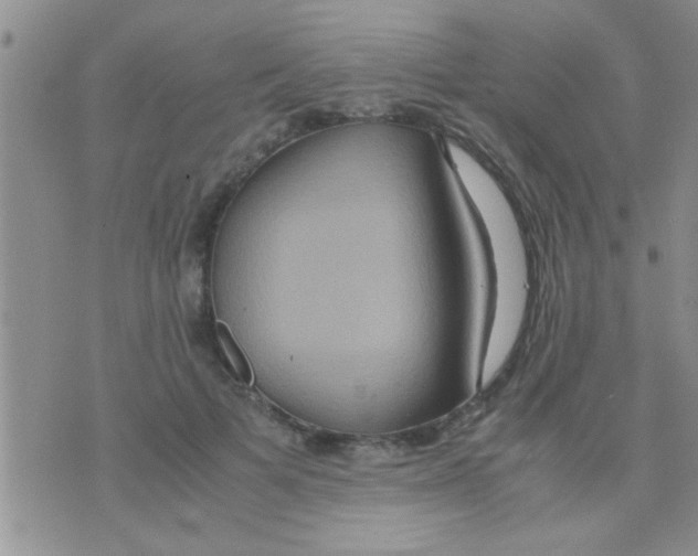 X0000075890697200610151751