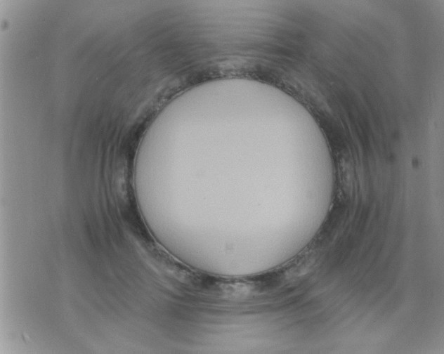 X0000075890698200610151751