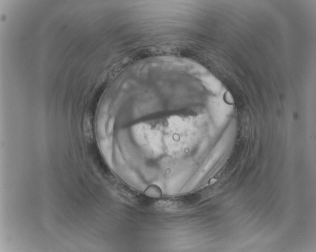 X0000075890699200610151751