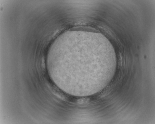 X0000075890700200610151751