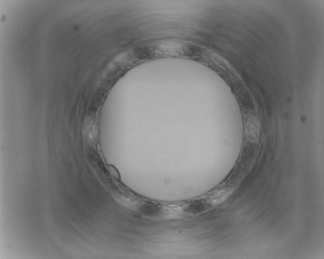 X0000075890701200610151751