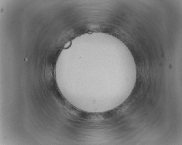 X0000075890702200610151751