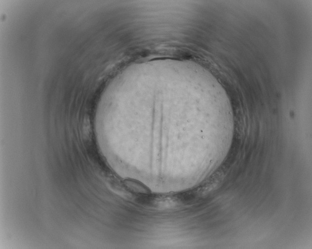 X0000075890704200610151751