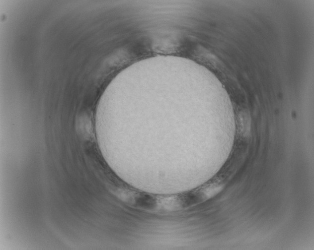 X0000075890705200610151751