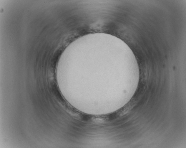 X0000075890706200610151751