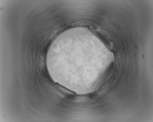 X0000075890708200610151751