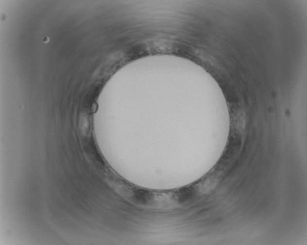 X0000075890709200610151751