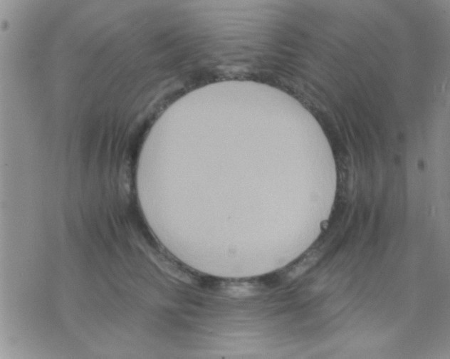 X0000075890710200610151751