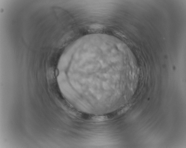 X0000075890711200610151751