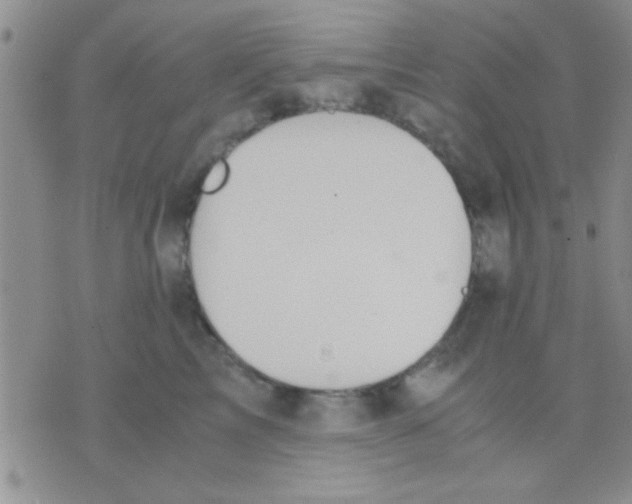 X0000075890713200610151751