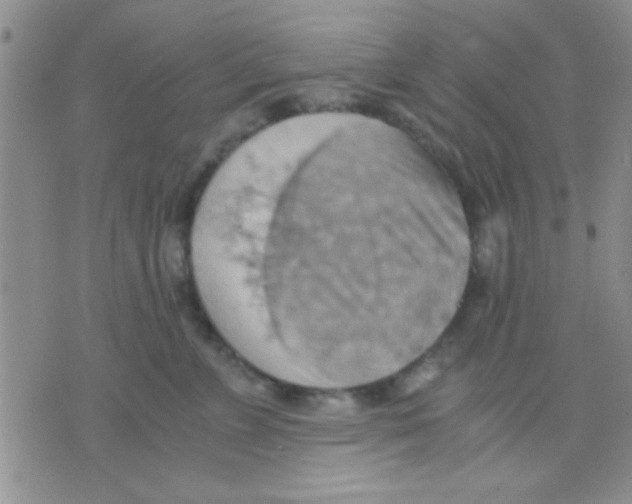 X0000075890715200610151751