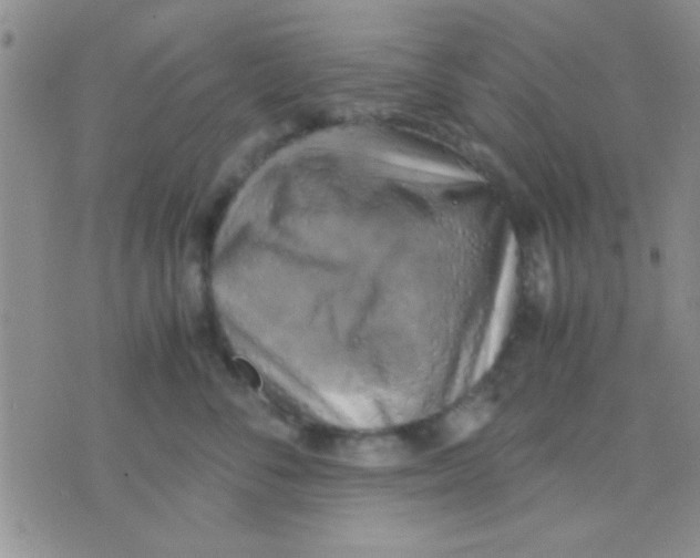 X0000075890716200610151751