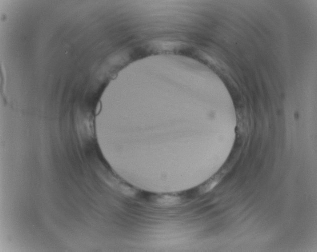 X0000075890718200610151751