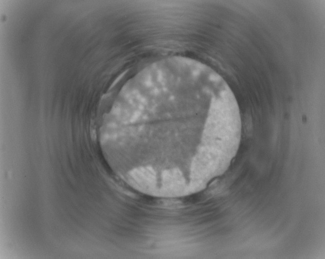 X0000075890719200610151751