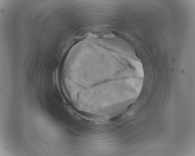 X0000075890720200610151751