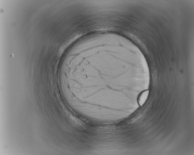 X0000075890721200610151750