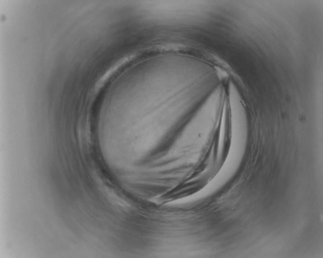 X0000075890722200610151750