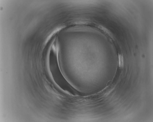 X0000075890723200610151750