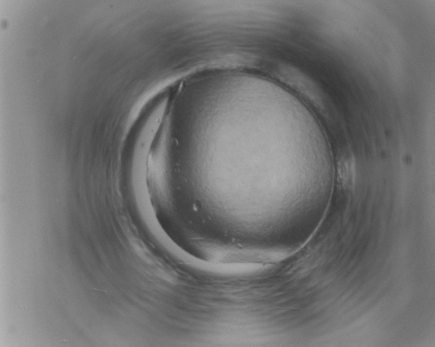 X0000075890724200610151750