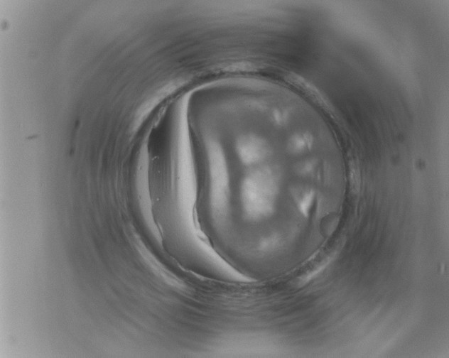 X0000075890725200610151750