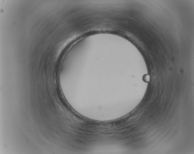 X0000075890727200610151750