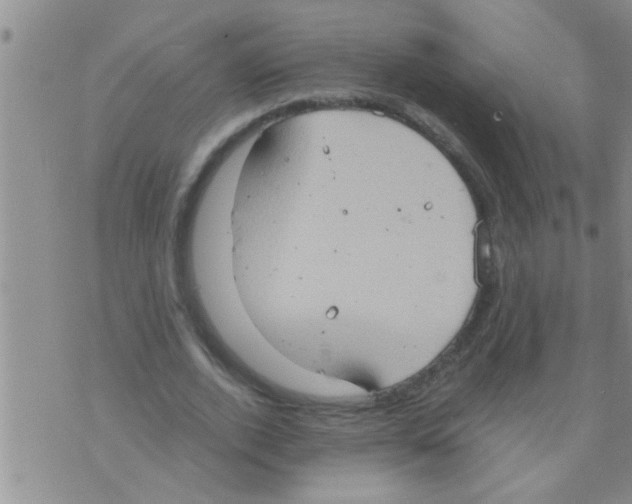 X0000075890728200610151750