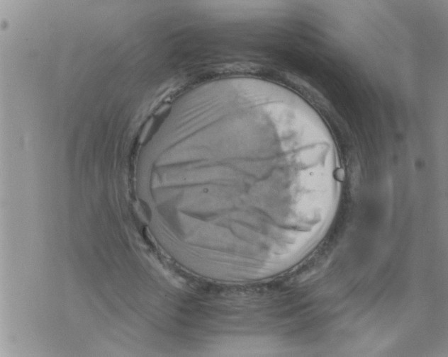 X0000075890729200610151750