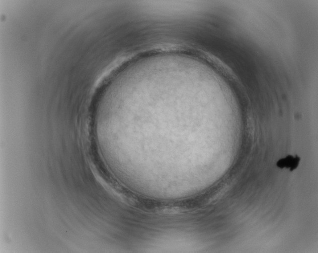 X0000075890730200610151750