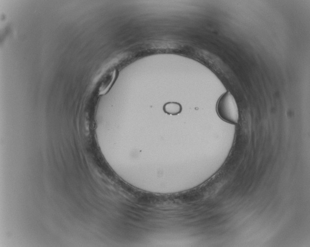 X0000075890731200610151750