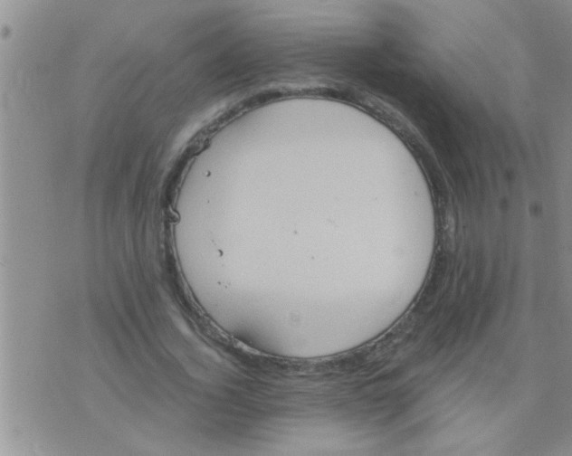 X0000075890732200610151750