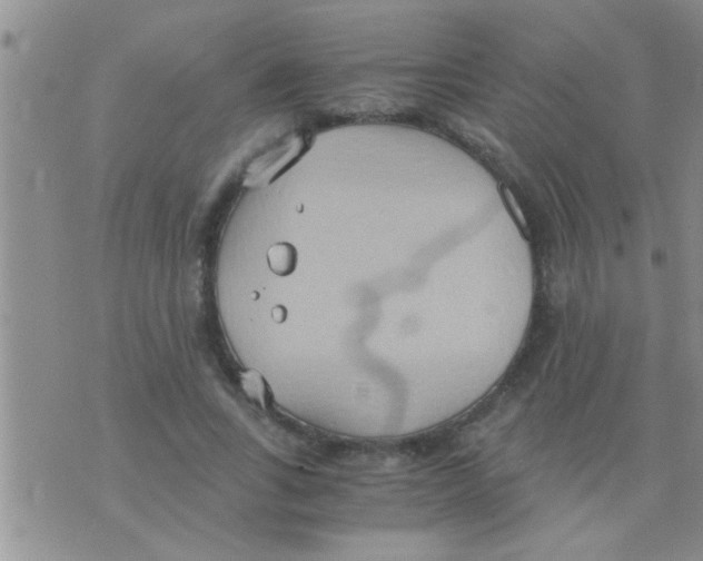 X0000075890735200610151750