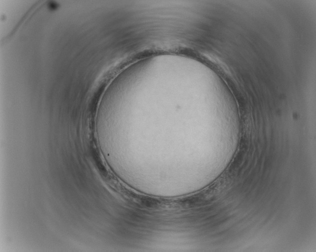 X0000075890736200610151750