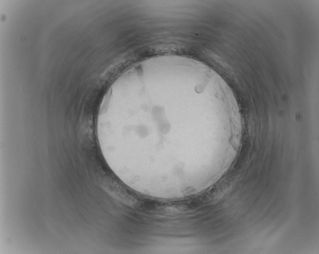 X0000075890737200610151750