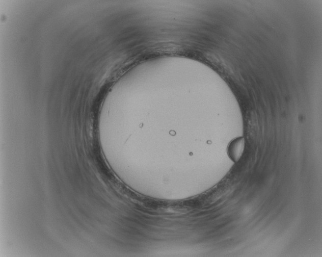 X0000075890739200610151750