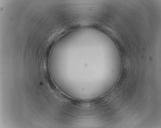 X0000075890740200610151751