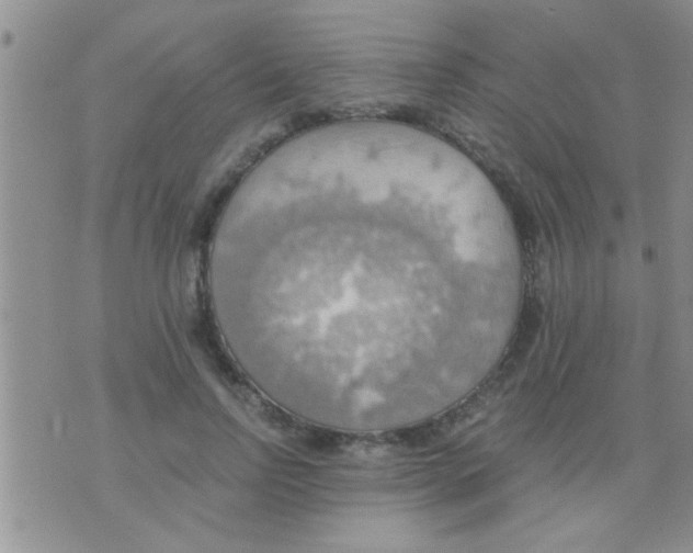 X0000075890742200610151751