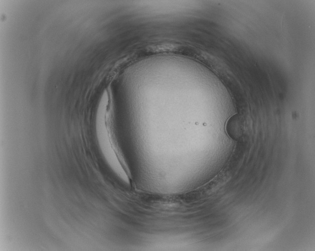 X0000075890743200610151751