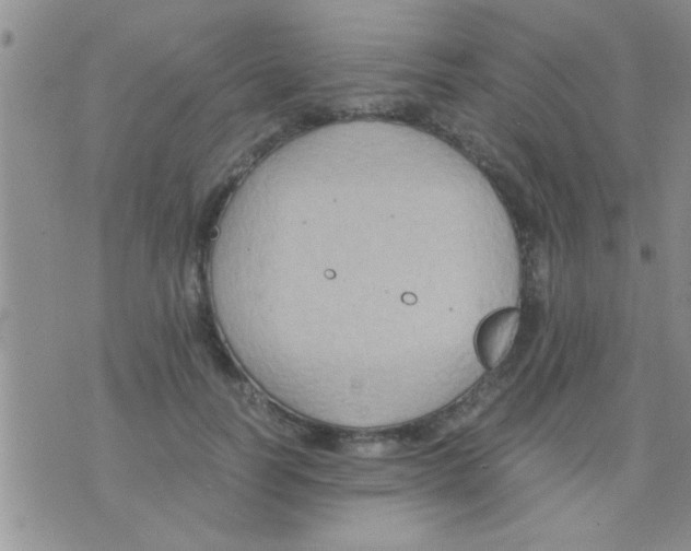 X0000075890746200610151751