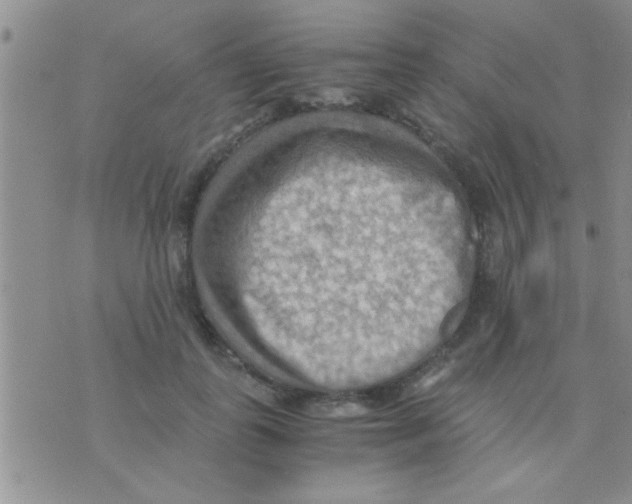 X0000075890747200610151751