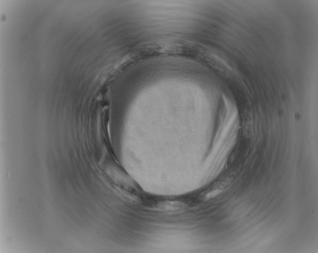 X0000075890748200610151751