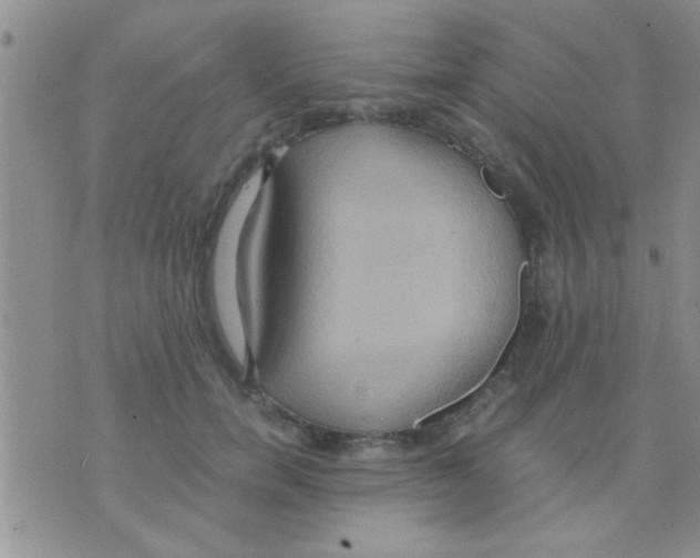 X0000075890750200610151751