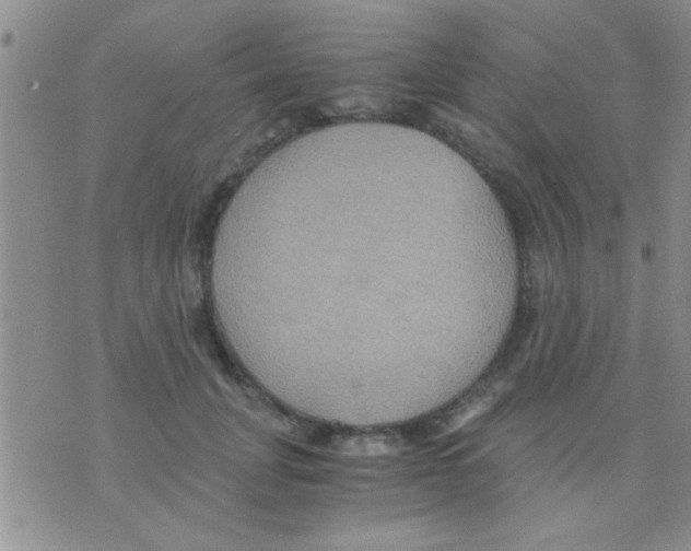 X0000075890751200610151751