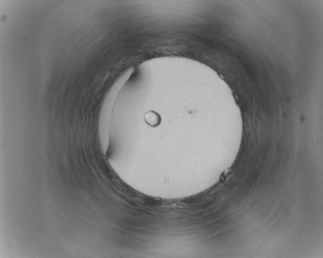 X0000075890752200610151751